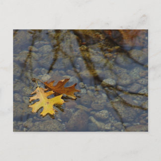 続編 ポストカード