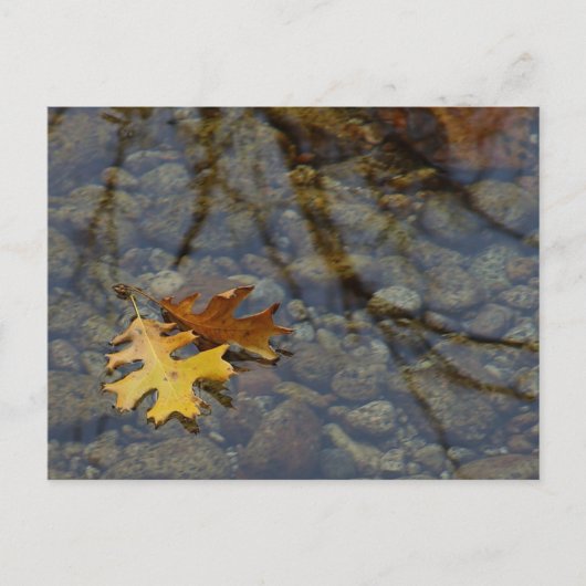 続編 ポストカード (正面)