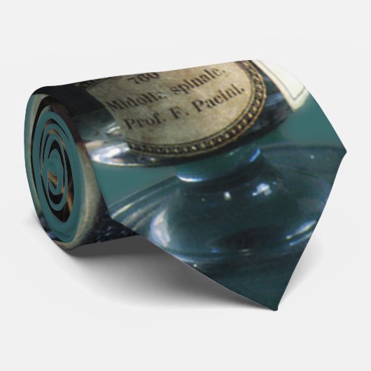 維持された脊柱 ネクタイ (ロール)