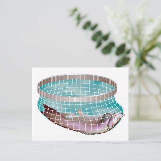 網の魚 ポストカード (スタンド正面)