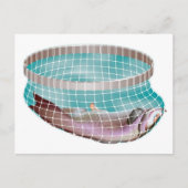 網の魚 ポストカード (正面)