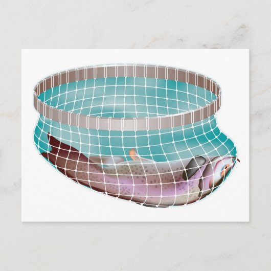 網の魚 ポストカード (正面)