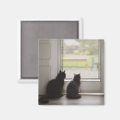 網戸を見ている猫 マグネット (正面/裏面)