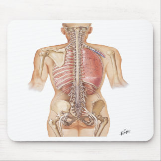 網打ちする人の脊柱のマウスパッド マウスパッド