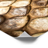 網状のpython skinpython、スキン、ヘビ、レチキュラート ポスター (角)