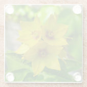 網状紅斑 ガラスコースター (裏面)