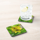 網状紅斑 コースター (右側)