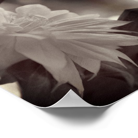 網状花頭炎フラワーブラックとホワイトヴィンテージ ポスター (角)