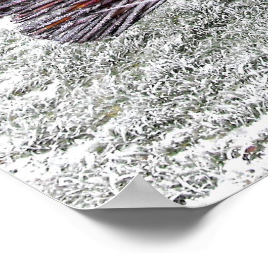 網状霜の降りた孔雀 ポスター (角)