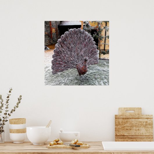 網状霜の降りた孔雀 ポスター (キッチン)