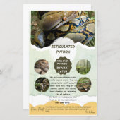 網状Pythonシ気にート (正面/裏面)