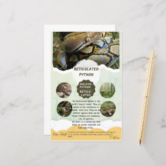 網状Pythonシ気にート