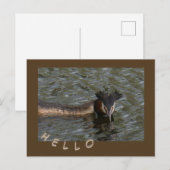 網素晴らし掛け小鉢。HELLOポストカード ポストカード (正面/裏面)