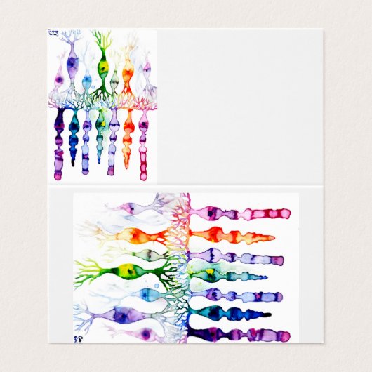 網膜の錐体細胞と双極ニューロン 名刺 (外部フラット)