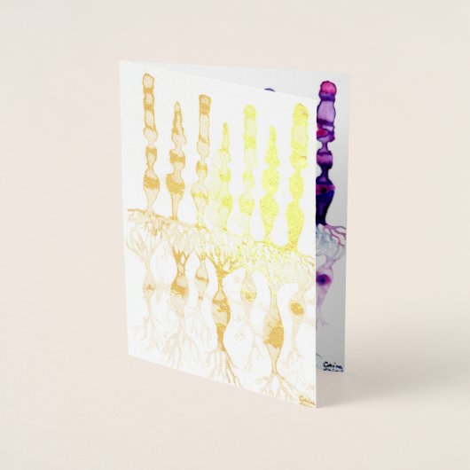 網膜の錐体細胞と双極ニューロン 箔カード (正面)