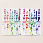 網膜の錐体細胞と双極ニューロン 箔カード (内部)