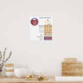 網膜ポスターの構造 ポスター (キッチン)