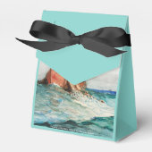 網(1887年)を風の強いホーマーで引っ張る フェイバーボックス (正面サイド)