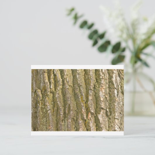 綿の木の樹皮テクスチャ ポストカード (スタンド正面)