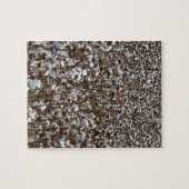 綿は分野を収穫します ジグソーパズル (横)