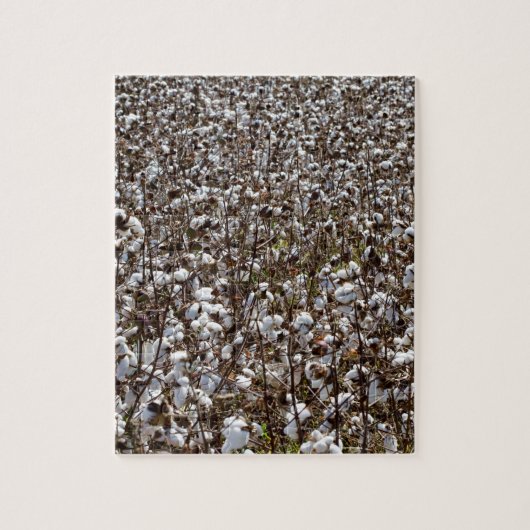 綿は分野を収穫します ジグソーパズル (縦)