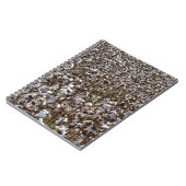 綿は分野を収穫します ノートブック (左側)