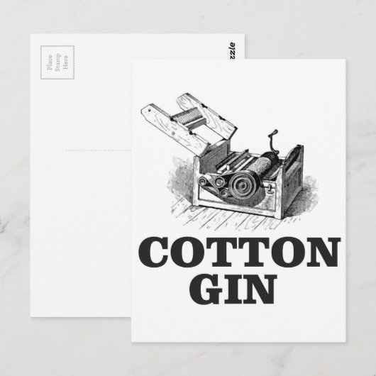 綿ジンbW ポストカード (正面/裏面)