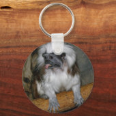 綿トップのタマリン キーホルダー (正面)