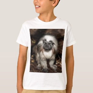 綿トップのTamarin Tシャツ