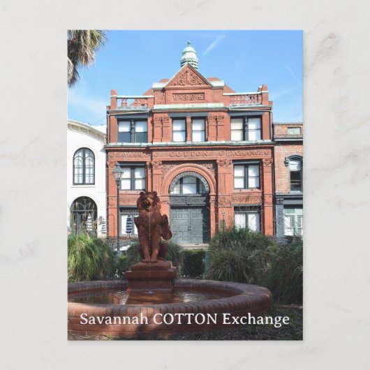 綿交換サバンナジョージア写真 ポストカード (正面)