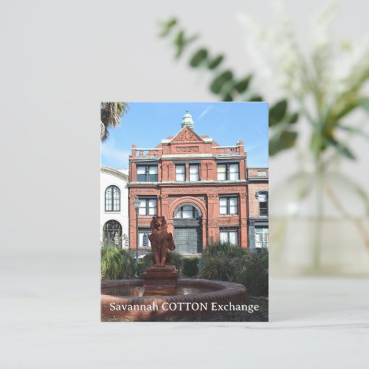 綿交換サバンナジョージア写真 ポストカード (スタンド正面)