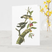 綿毛のようなキツツキ-ジョンAudubon カード (黄色い花)