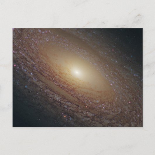 綿状らせんNGC 2841 ポストカード (正面)