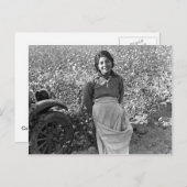 綿畑の隣の移住労働者 ポストカード (正面/裏面)