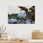 綿畑ポスター ポスター (キッチン)