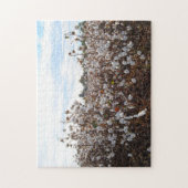 綿畑ミズーリ州。 ジグソーパズル (縦)