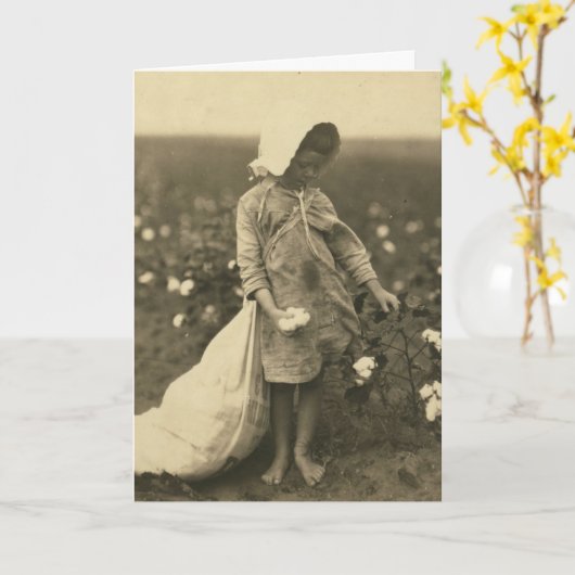 綿畑 カード (黄色い花)