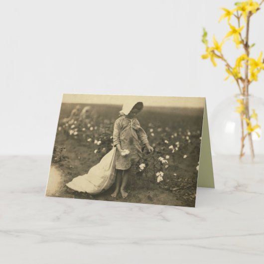 綿畑 カード (黄色い花)