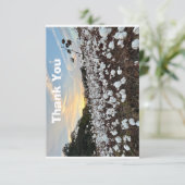 綿畑 サンキューカード (スタンド正面)