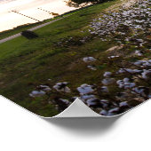 綿畑 ポスター (角)