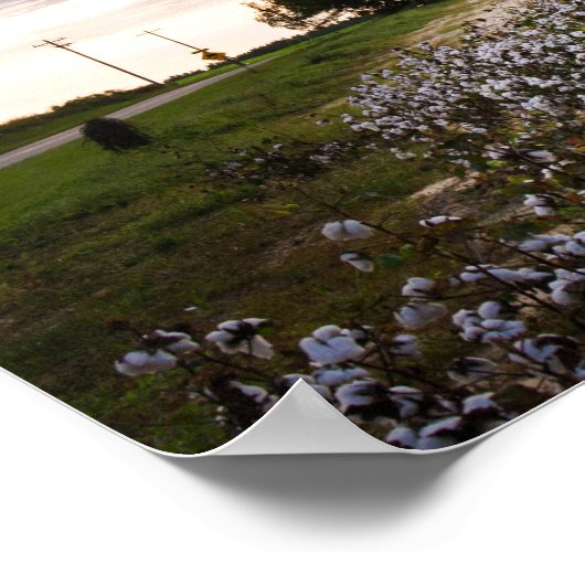 綿畑 ポスター (角)