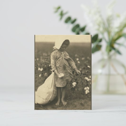 綿畑 ポストカード (スタンド正面)