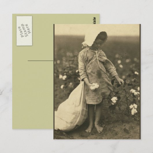 綿畑 ポストカード (正面/裏面)