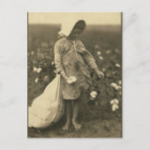 綿畑 ポストカード (正面)