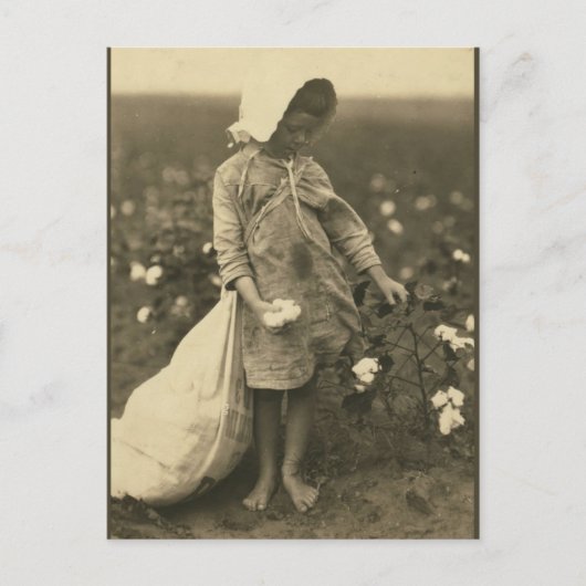 綿畑 ポストカード (正面)