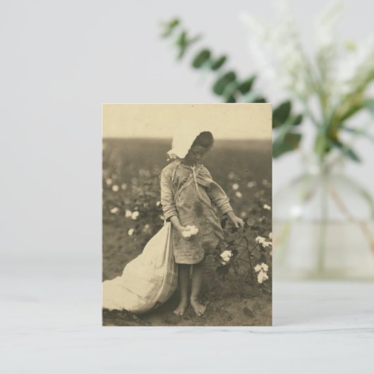 綿畑 ポストカード (スタンド正面)