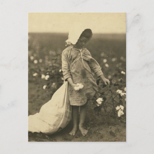 綿畑 ポストカード (正面)