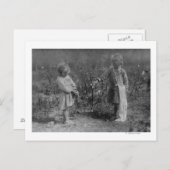 綿花を摘む二人の少女 ポストカード (正面/裏面)