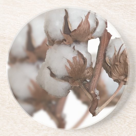 綿花工場で2周年 コースター (正面)