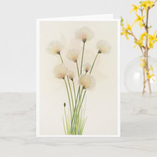 綿花 カード (黄色い花)